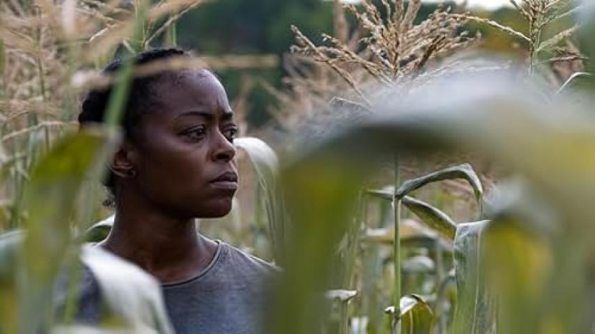 حصرياً | فيلم 40 Acres 2024 مترجم فيديو غاية بجودة عالية