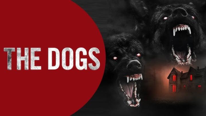 حصرياً | مشاهدة فيلم the dogs 2025 مترجم فيديو غاية بجودة عالية