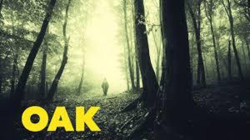 حصرياً | مشاهدة فيلم Oak 2025 مترجم اون لاين فيديو غاية بجودة عالية