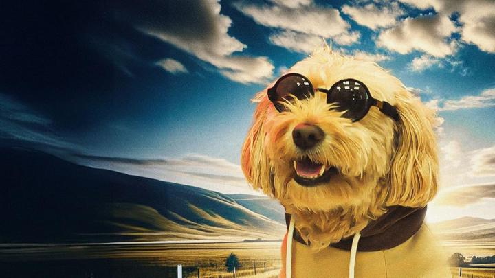 حصرياً | فيلم Dog Fugitive 2025 مترجم اون لاين بجودة عالية