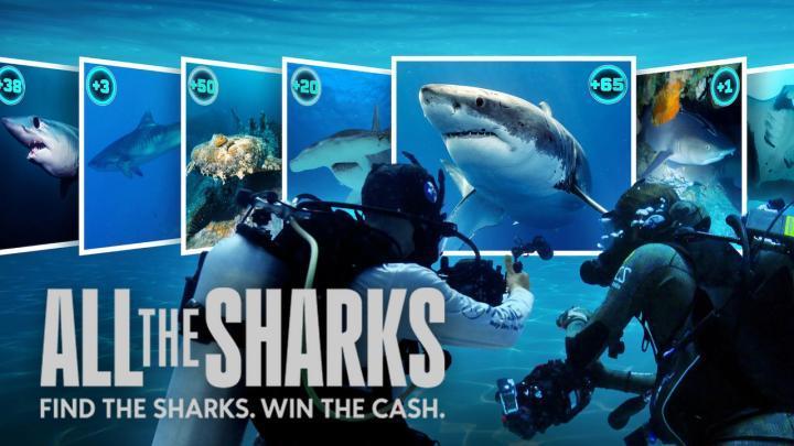 حصرياً | مسلسل All the Sharks الموسم الاول الحلقة 2 بجودة عالية