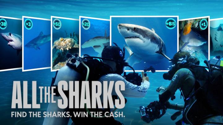 حصرياً | مسلسل All the Sharks مترجم بجودة عالية